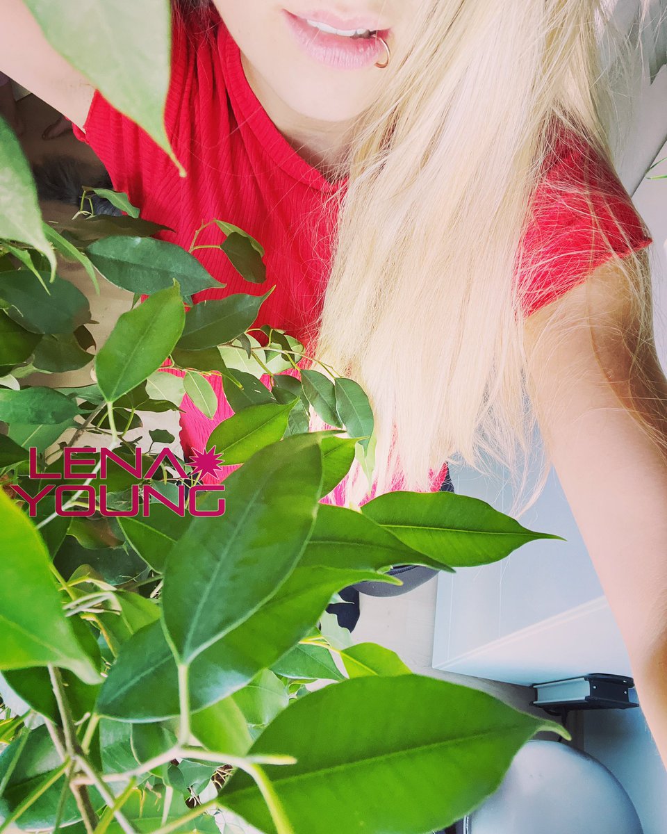 LenayoungO's tweet photo. Ich wünsche dir einen schönen Abend 🌇 

#lenayoung #girl #teeb #mood #power #me #teen #nrw https://t.co/fhhSarDw5i