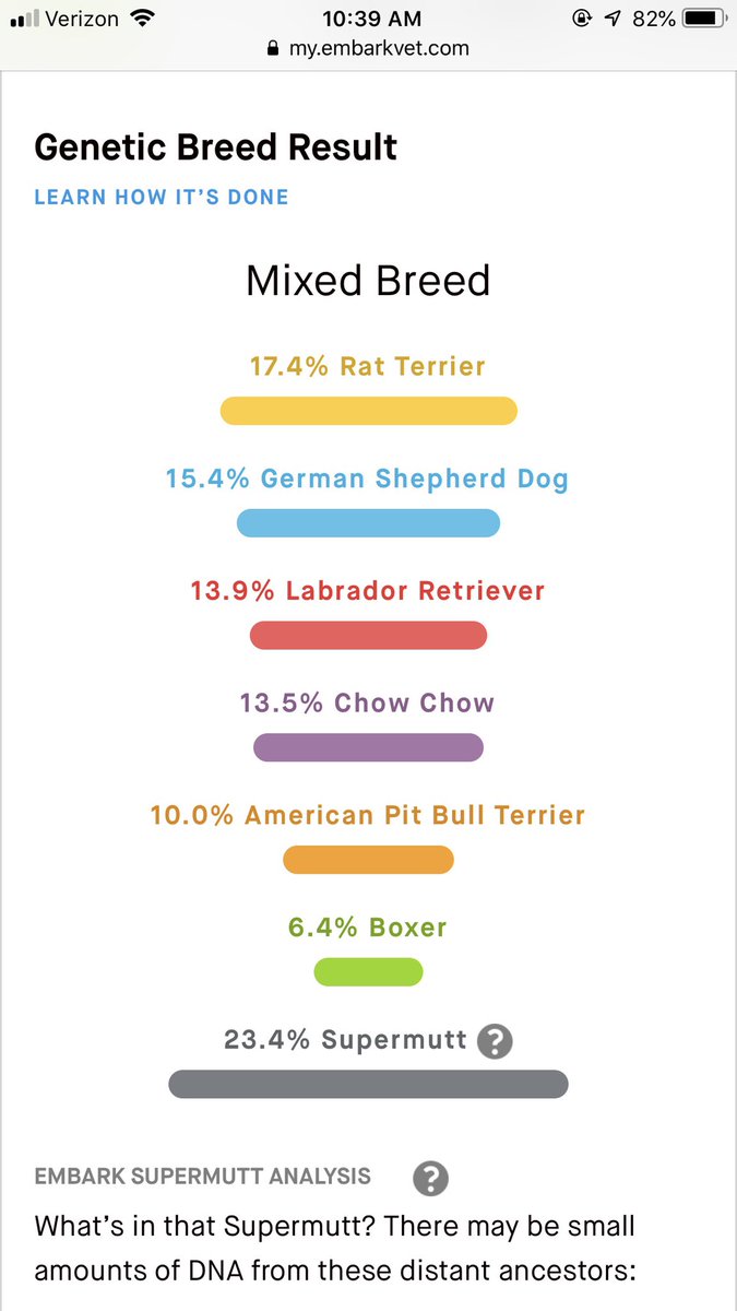 TianaTracy's tweet photo. @JonnyZetaTV These are her dna results! https://t.co/ipNOv6MwWq
