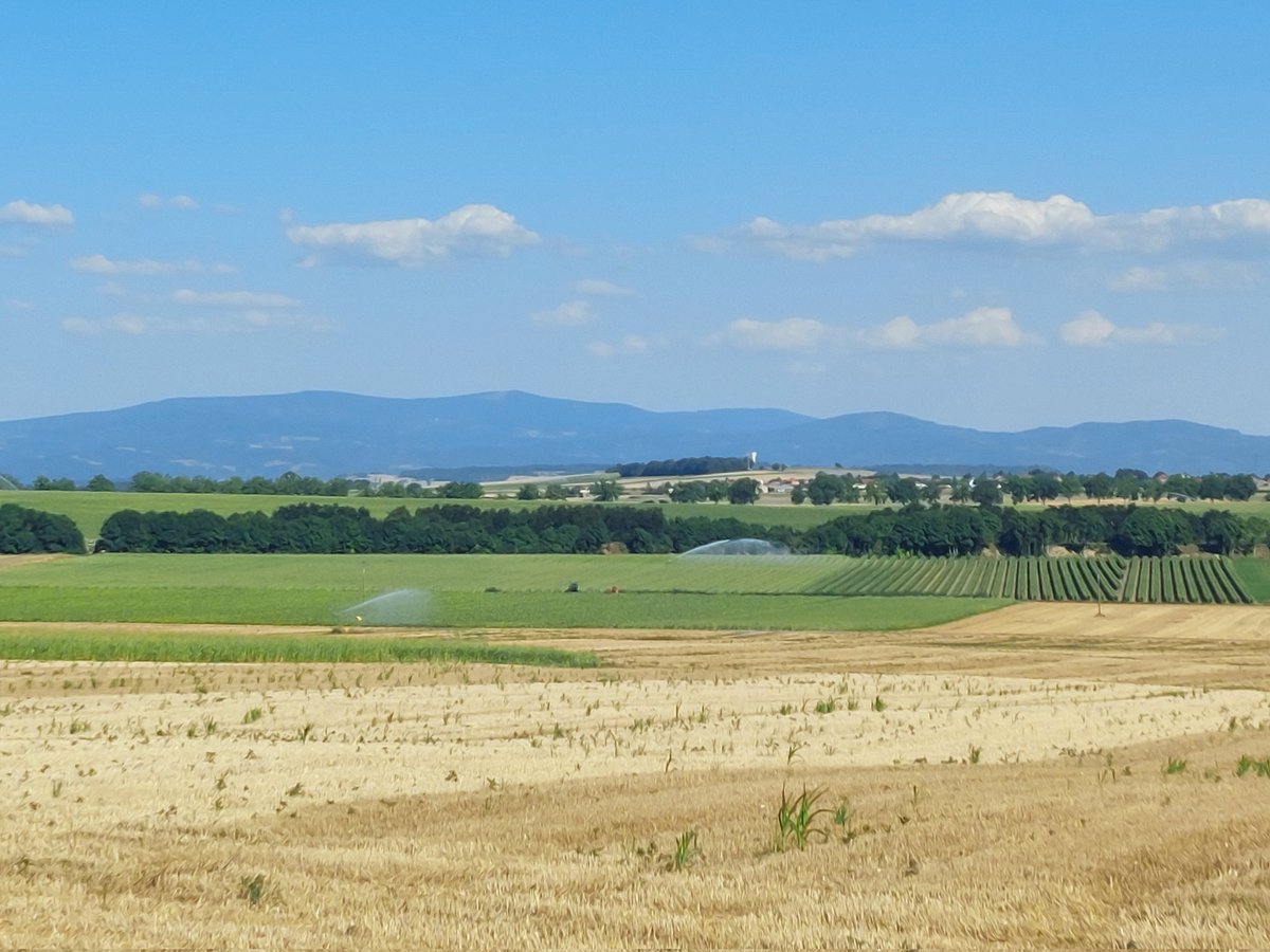 veronimo6's tweet photo. @Prefet63 c'est normal cet arrosage diurne en pleine #sécheresse malgré vos arrêtés ?! #JeDemande ou #JeSignale #Limagne #canicule @EcologieAuRA https://t.co/Kwh65kRomD