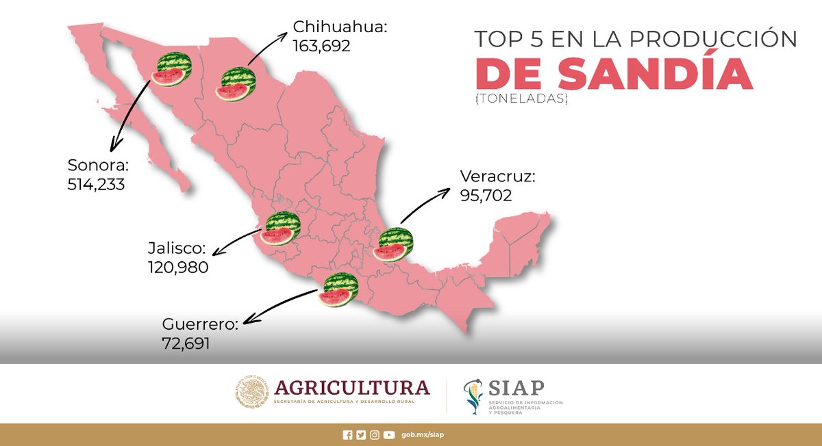 SIAP on Twitter: "México es el décimo productor mundial de #Sandía con