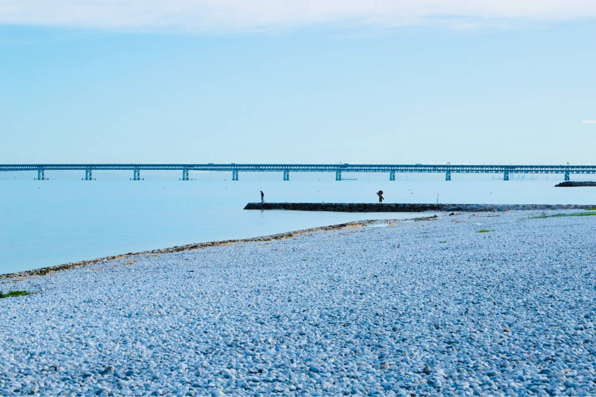 Bob_OGTB's tweet photo. #MarbleBeach, near #KansaiInternationalAirport, is a popular BBQ spot in summer☀️
And it's virtually empty in the morning. Here are some shots from my early morning stroll🌊🚶♂️
https://t.co/JRqCPQotkf https://t.co/PA6Yr7dDNd