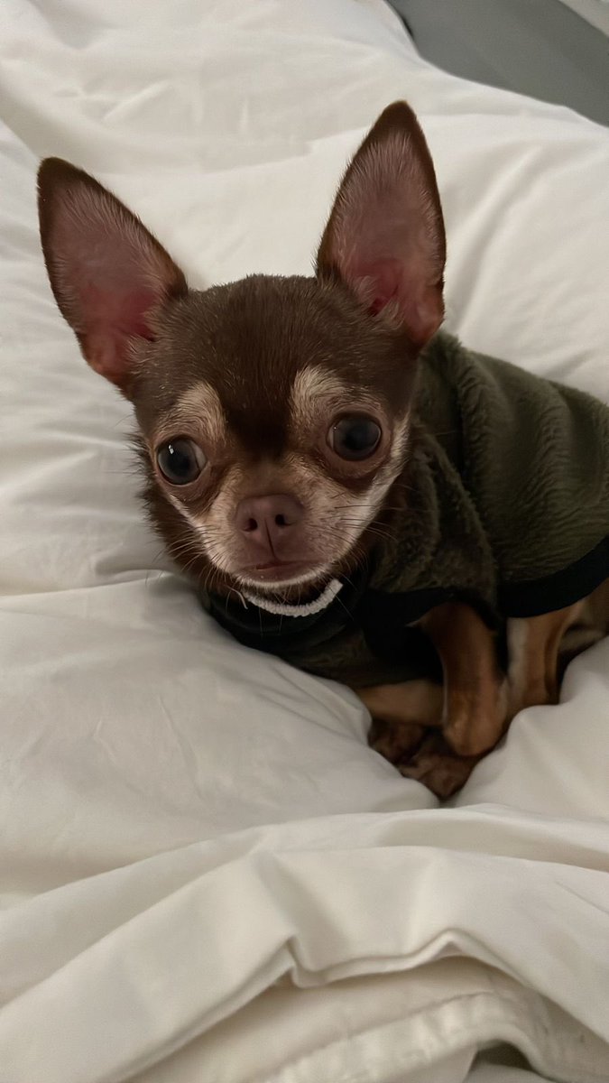 MaguiDubarry's tweet photo. Buenos días 💗 https://t.co/hvddyNommY