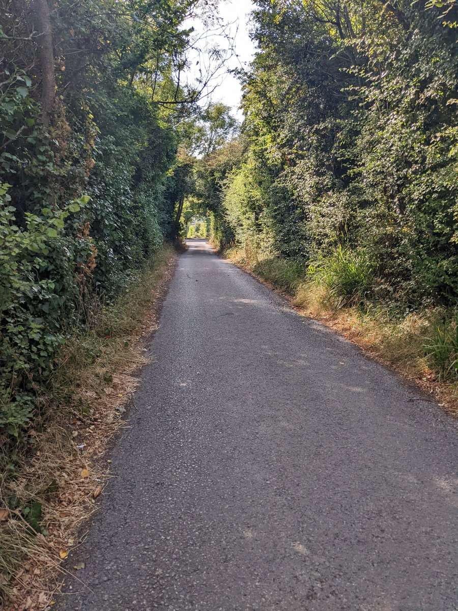 julesframpton9's tweet photo. Suns finally put so dragged myself out for a walk #stillexhausted https://t.co/WsTxthnwQ6