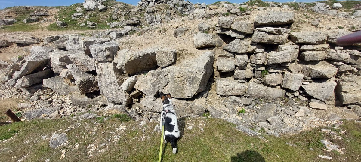 Frank & Polly tweet media