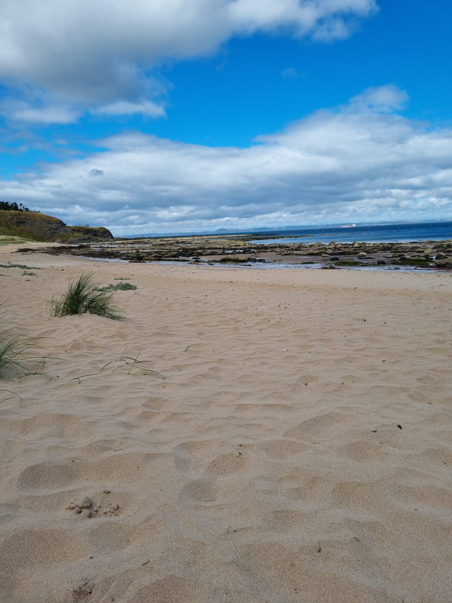 TearneyDean's tweet photo. Making the most of the last couple of weeks holiday. Found a great spot and it seemed to have its own microclimate. Raining at home. 22 degrees and sunny down the road. #scotland #scottishbeach #paddleboard #seaswim #swimming #scottishsummer https://t.co/7jMgYM9DUQ