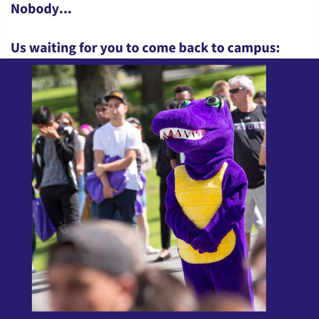 SFSU's tweet photo. Cause we miss our Gators and stuff... https://t.co/z8W873m5Ue