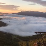 ツイートに含まれる画像