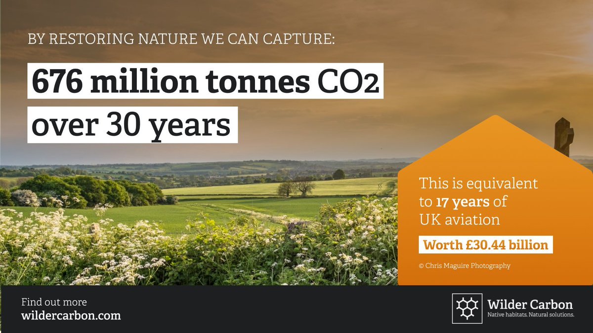 WilderCarbon's tweet photo. Today, WC MD @ecologik spoke at the @ciwem SE webinar highlighting the urgent need &amp; great potential for restoration of native habitats here in the UK on a massive scale, to tackle the crises we face. 

Take action at https://t.co/4fUaUFZSlO

#ClimateSolutions #WilderCarbon https://t.co/Uig1rwKyCz