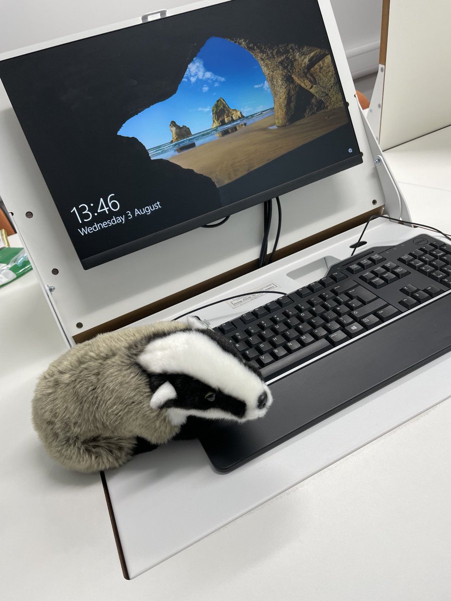 angela stringfellow tweet media