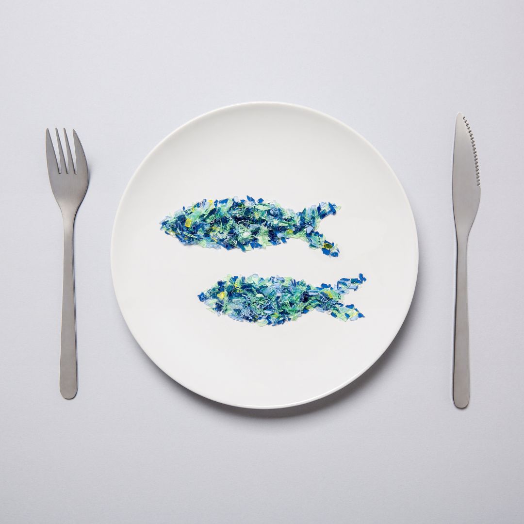 seaclearlaundry's tweet photo. What does your dinner eat for dinner? Learn about how California plans to tackle the pressing microplastic issue. https://t.co/T6EOnJ5pQZ #SeaClear #MicroPlastics https://t.co/3f7JPMTtmR