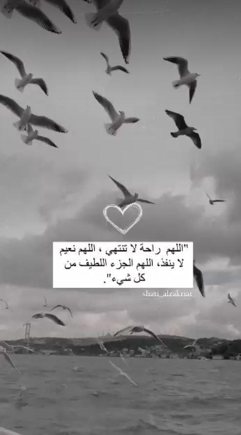 lifebbtr's tweet photo. “
سيأتي على قلبك فترة #أثقل من الجبال 
ليس لتشتكي ؛ بل لنسجد ونقترب لله ..🤍

"
#مسيتوا_بالخير  🤍 https://t.co/snVA8QiAYF