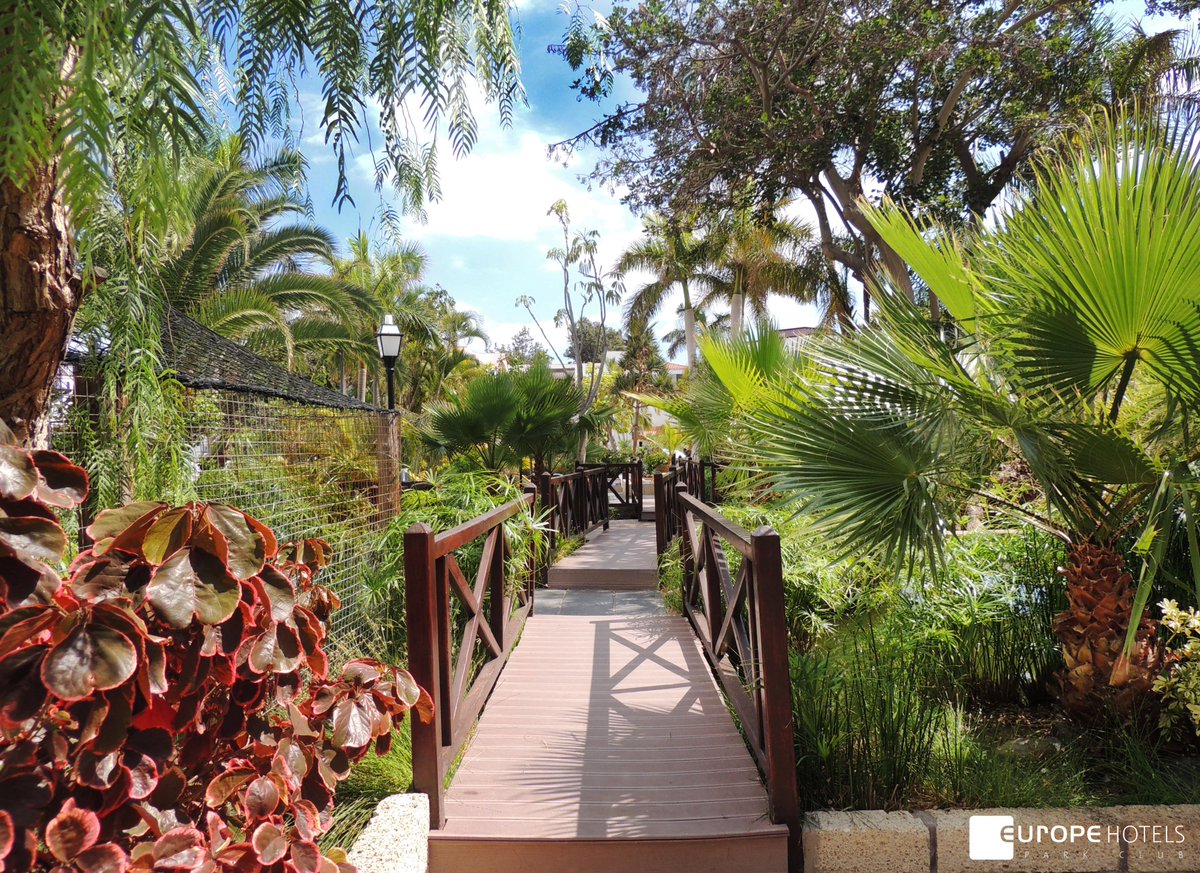 ParkClubEurope's tweet photo. Our tropical garden deserves a slow visit where you can discover plants, animals and beautiful corners🌺

Nuestro jardín tropical merece una visita pausada en la que puedes descubrir plantas, animales y hermosos rincones🌴

#europehotels #hotelparkclub #parkclub #arona #tenerife https://t.co/8Ju8lH4vQY
