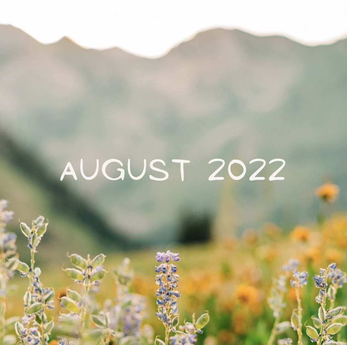 This August in Capitol Hill... - mailchi.mp/21670ff981b1/l…