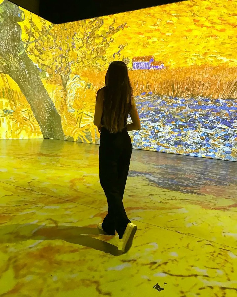 Van Gogh Dublin: An Immersive Journey - RDS Dublin tweet media