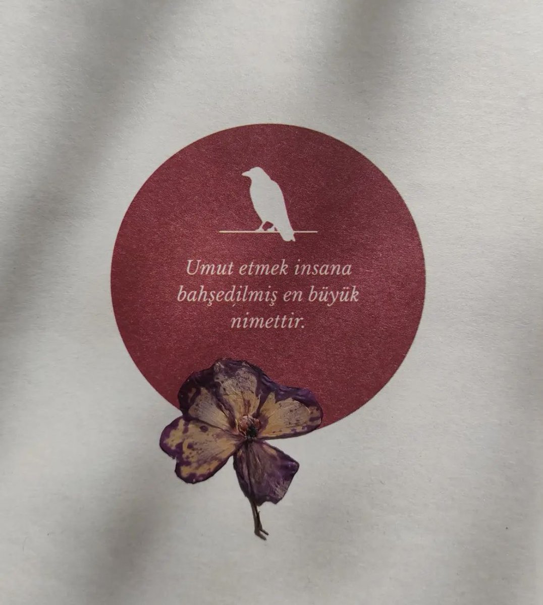 Umut etmek insana bahşedilmiş en büyük nimettir.
