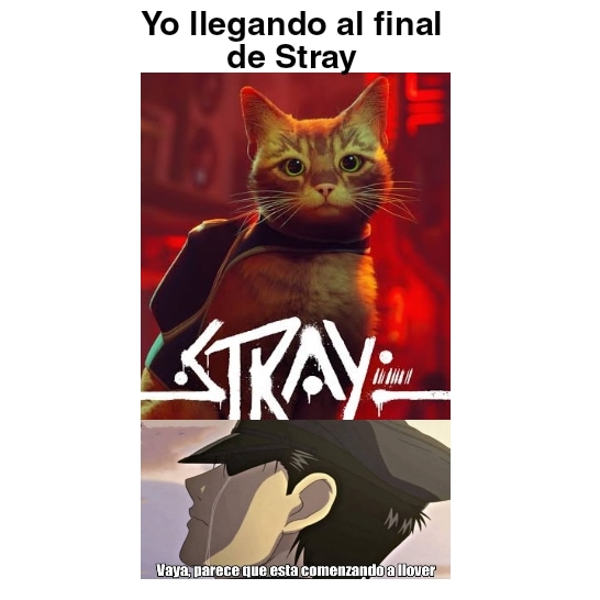 soylachata's tweet photo. Como cuando te pones a llorar en vivo 😅😭
¡Siganme en mi canal de https://t.co/we5lLKsiPt como Dianadianucha 😜✌️
#stray #strayvideogame #twitchtv #twitch #streamer #streamergirl https://t.co/qI7nLMj5WB
