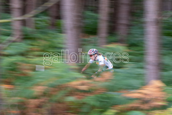 Gallo Images Sport (@gallo_sport) on Twitter photo <a href="/Candice_MTB/">Candice Lill</a>🚴♀️finishes 3rd and wins a #Bronzemedal 🥉in the Women's Cross-country #MountainBike event today 👏. Great work @TeamSA2024 🇿🇦
👉 bit.ly/3JHkmtz
🗣️ <a href="/birminghamcg22/">Birmingham 2022</a> <a href="/thecgf/">Commonwealth Sport</a> #Birmingham2022 #B2022 #TeamSA #Cycling <a href="/Cycling_SA/">Cycling South Africa</a>
📷 <a href="/AntonGeyser/">antongeysermedia</a> <a href="/Candice_MTB/">Candice Lill</a>🚴♀️finishes 3rd and wins a #Bronzemedal 🥉in the Women's Cross-country #MountainBike event today 👏. Great work @TeamSA2024 🇿🇦
👉 bit.ly/3JHkmtz
🗣️ <a href="/birminghamcg22/">Birmingham 2022</a> <a href="/thecgf/">Commonwealth Sport</a> #Birmingham2022 #B2022 #TeamSA #Cycling <a href="/Cycling_SA/">Cycling South Africa</a>
📷 <a href="/AntonGeyser/">antongeysermedia</a>