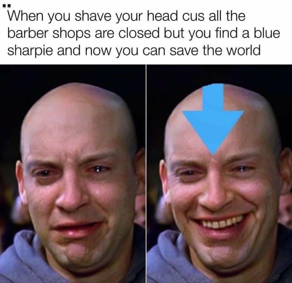 memes_store tweet picture