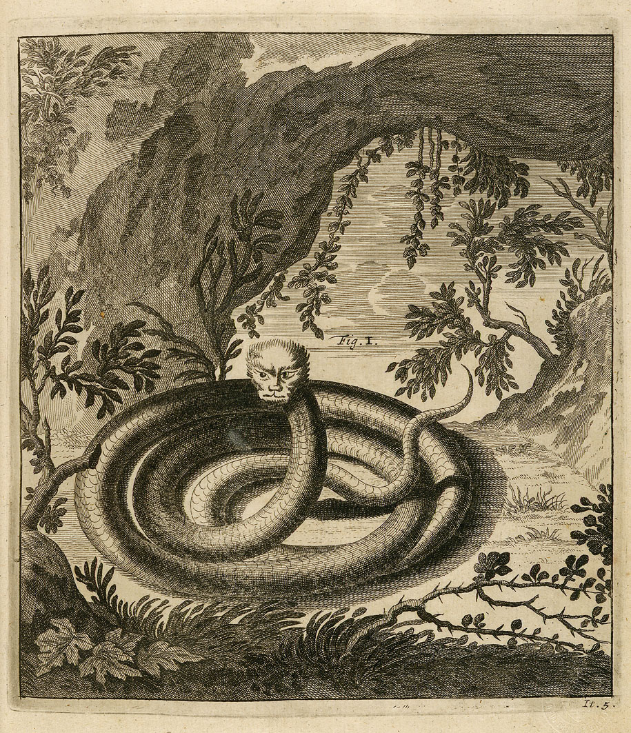 Max Leonard tweet media