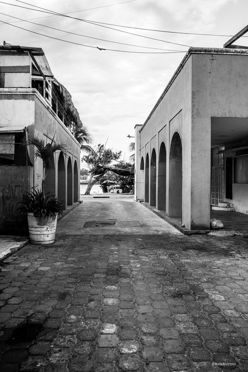 rmcasado's tweet photo. #picoftheday#fotodeldia
#streetphotography
#bwphotography
#bwphoto #bw #blackandwhitephoto
#blackandwhitephotography
#worldframeclubbw
#explore_bnw
#spi_collective
#SPiCollective
#lumixgf2 #lumixgf #gf #gf2
#panasonic
@LumixUSA @panasonic
@love_veracruz_ https://t.co/LLlyIN3cgY
