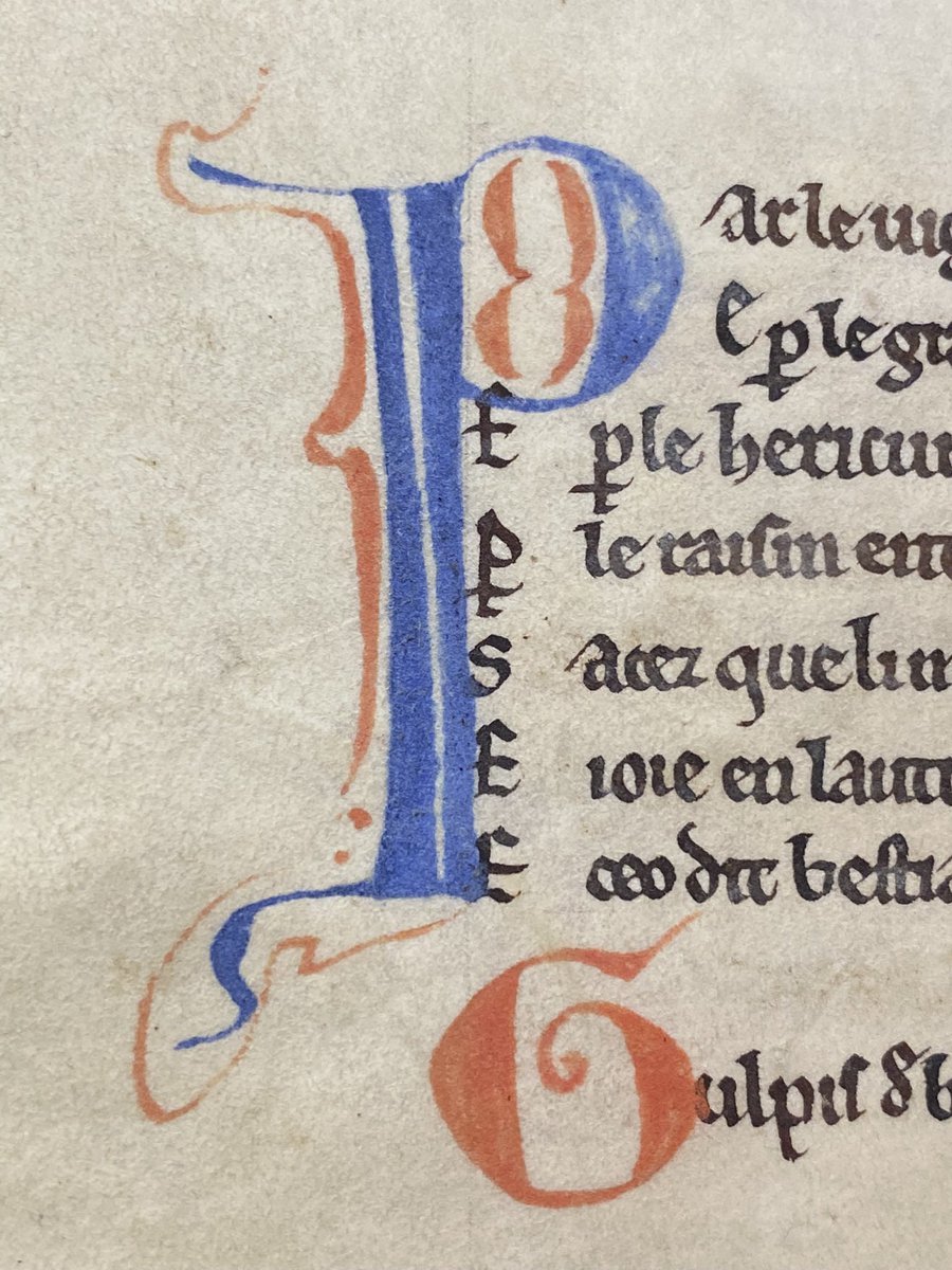 DowsMillerSeb's tweet photo. Treated myself to a manuscript day at the @britishlibrary today, and got to meet this beauty 📖😍

It contains one of only three copies of  Philippe de Thaun’s #bestiary, another being @MertonBeasts! 🦁

📷 BL, Cotton MS Nero AV

#books #manuscripts #library #medievaltwitter https://t.co/iSpVetyRuY