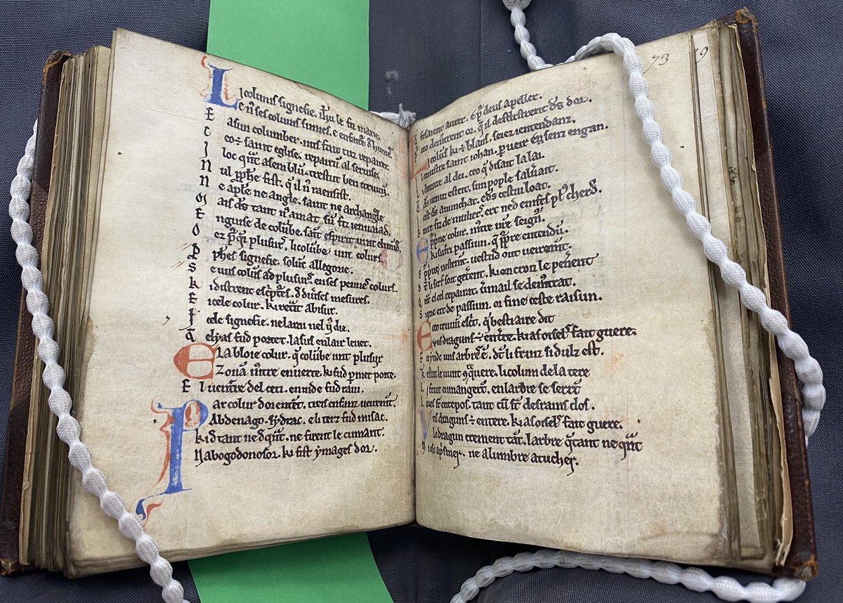 DowsMillerSeb's tweet photo. Treated myself to a manuscript day at the @britishlibrary today, and got to meet this beauty 📖😍

It contains one of only three copies of  Philippe de Thaun’s #bestiary, another being @MertonBeasts! 🦁

📷 BL, Cotton MS Nero AV

#books #manuscripts #library #medievaltwitter https://t.co/iSpVetyRuY
