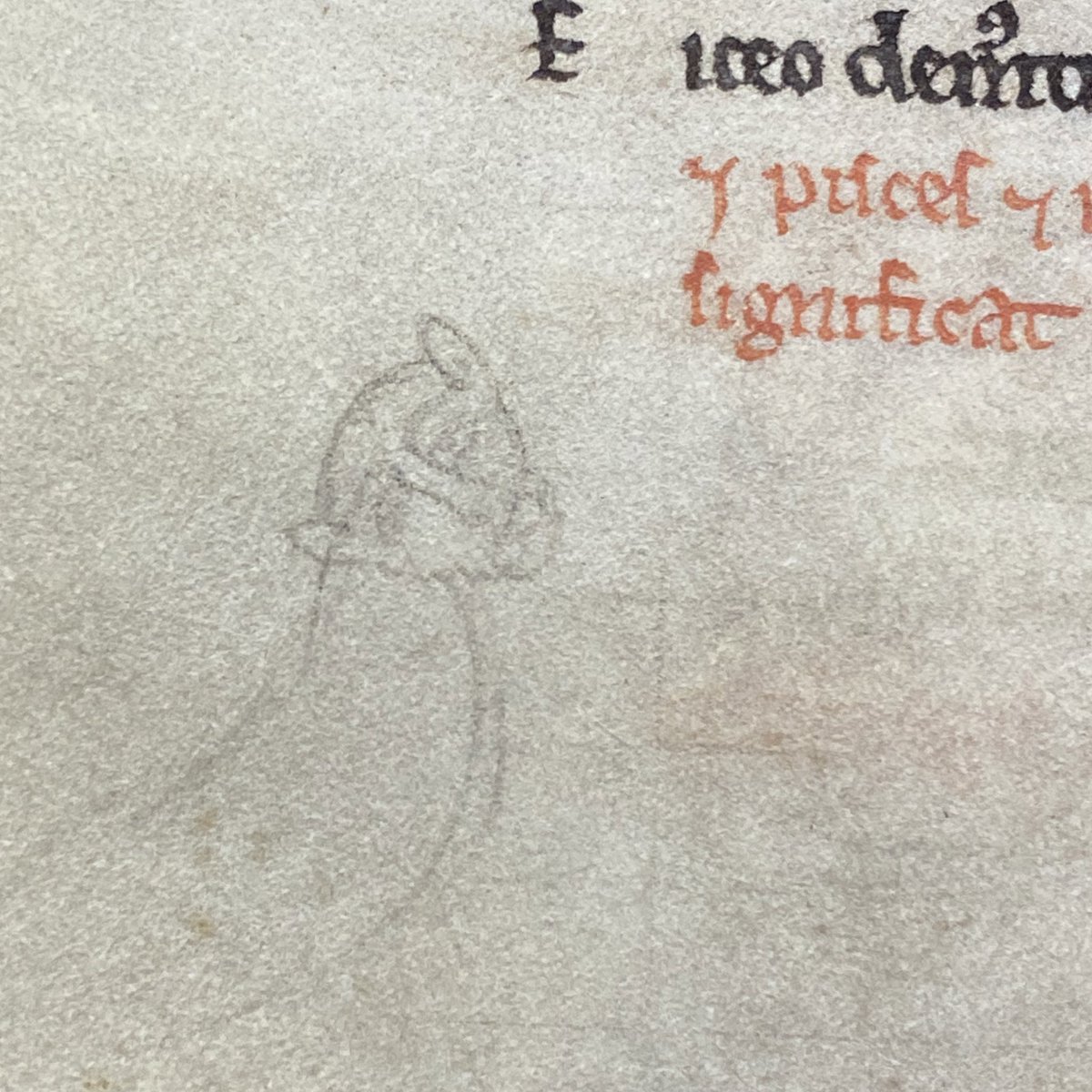 DowsMillerSeb's tweet photo. Treated myself to a manuscript day at the @britishlibrary today, and got to meet this beauty 📖😍

It contains one of only three copies of  Philippe de Thaun’s #bestiary, another being @MertonBeasts! 🦁

📷 BL, Cotton MS Nero AV

#books #manuscripts #library #medievaltwitter https://t.co/iSpVetyRuY