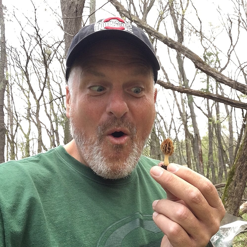 frankmanfred636's tweet photo. All our trees are being sold out less farmlands 🏡 https://t.co/IKQGA6aSFk