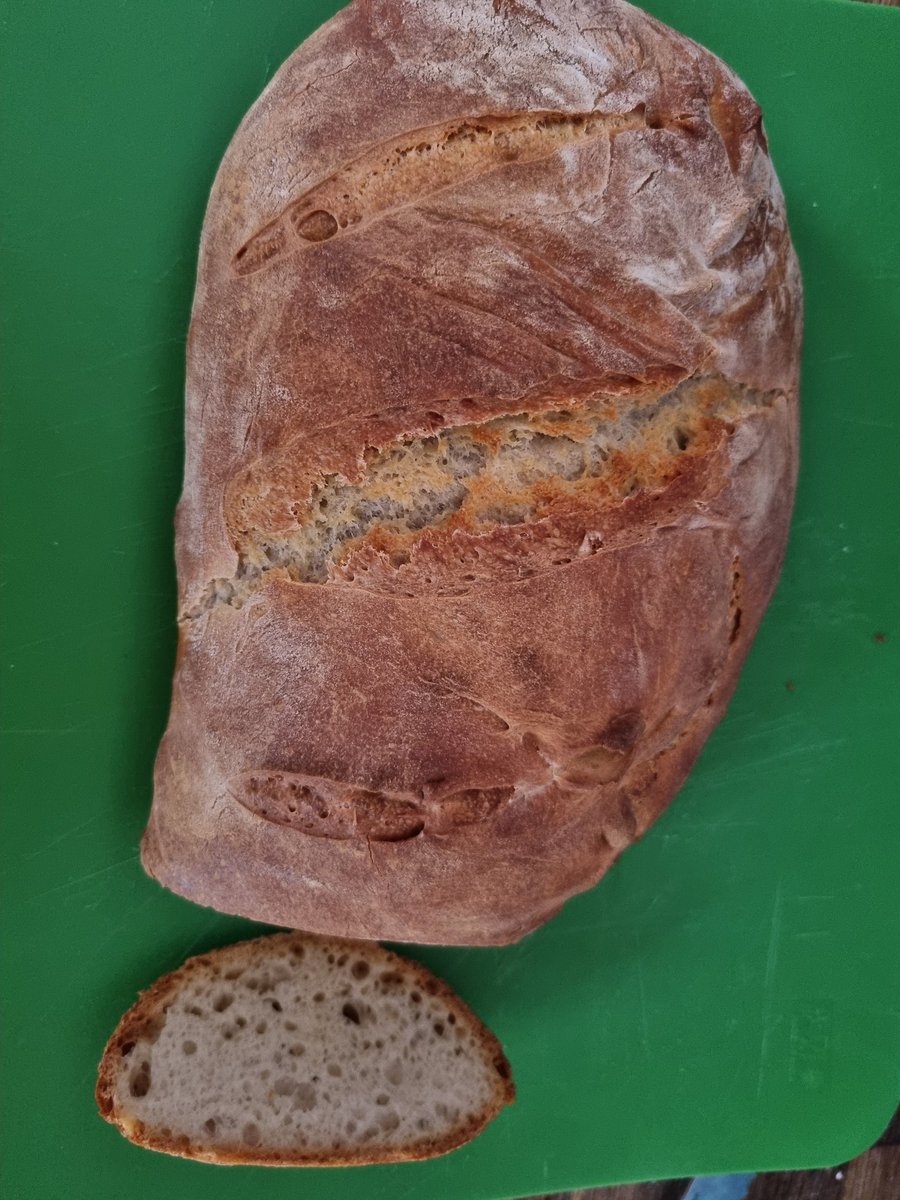 ToasterSpace's tweet image. Blessing/cursing your timeline with bread