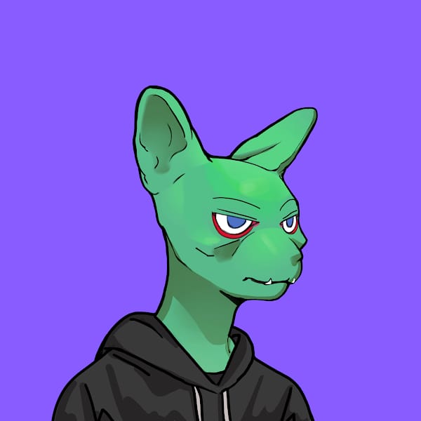 Afroz_zz's tweet photo. I am loading #Sphynx Scion #NFTs
#CRO #NFT #minting &amp; #NFT #staking is live.
Ape in now and you'll be welcomed with open arms my buddy! 

These cuties are the best in the space and we have HUGE announcements coming soon 🔥 🔥

 #Sphynxlabs #CRO #Sphynx #Cronos https://t.co/i9PLu7Z7M2