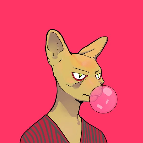 Afroz_zz's tweet photo. I am loading #Sphynx Scion #NFTs
#CRO #NFT #minting &amp; #NFT #staking is live.
Ape in now and you'll be welcomed with open arms my buddy! 

These cuties are the best in the space and we have HUGE announcements coming soon 🔥 🔥

 #Sphynxlabs #CRO #Sphynx #Cronos https://t.co/i9PLu7Z7M2