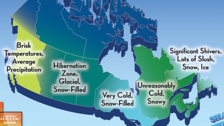 CityNews Kitchener tweet media