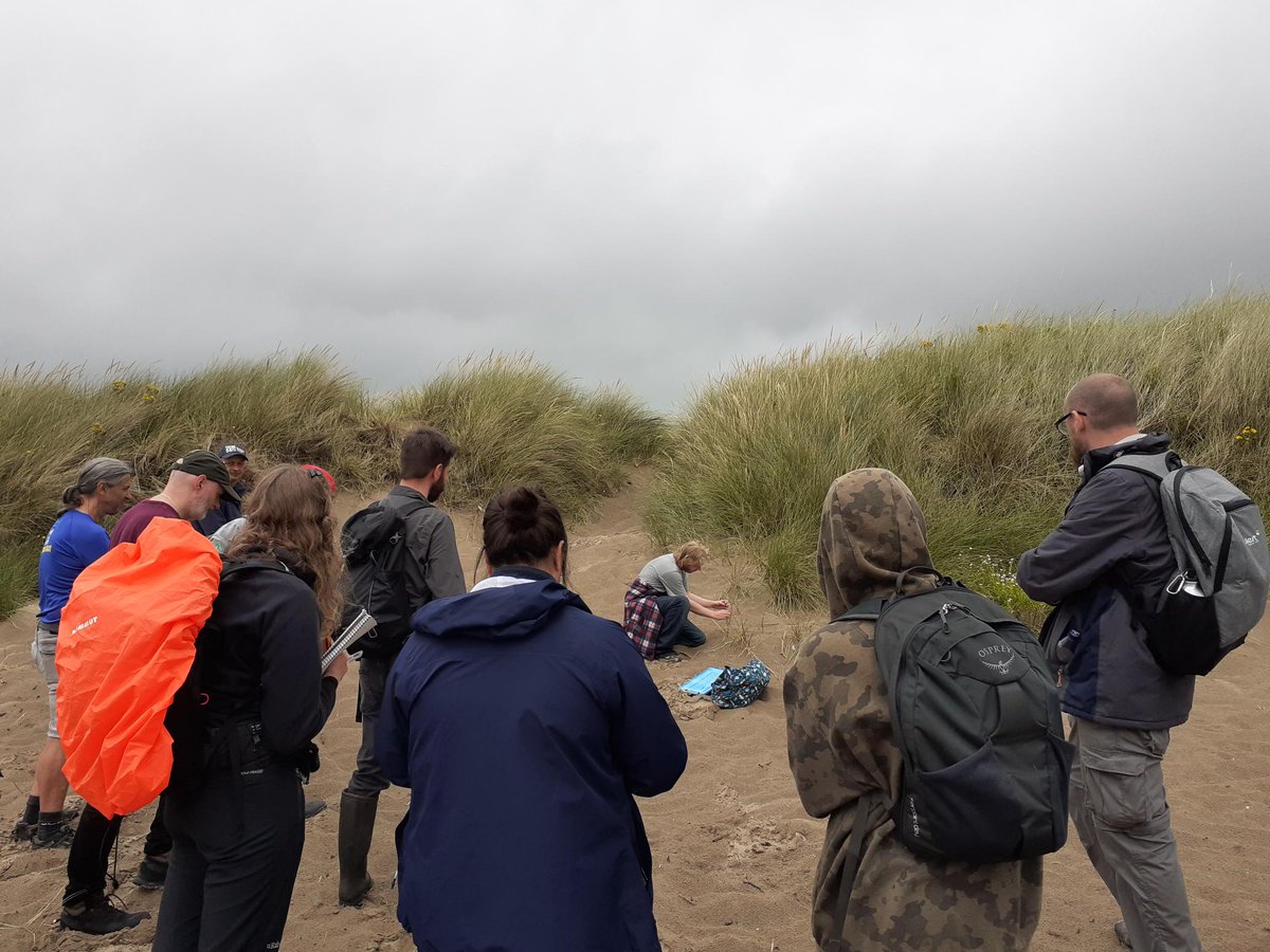 GarnockLP's tweet photo. It was fun to get out on the dunes on Saturday with a great bunch of volunteers and our friends at @ScotWildlife Ayrshire and #FriendsOfStevenston for some fence repairs and a walk/talk to learn more about the importance of this habitat. #sanddunes #stevenstonbeach #volunteers https://t.co/K8umb2LCL4