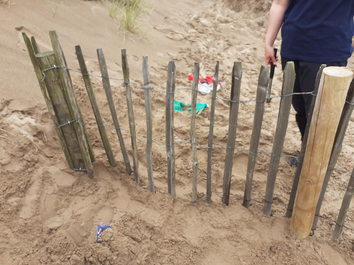 GarnockLP's tweet photo. It was fun to get out on the dunes on Saturday with a great bunch of volunteers and our friends at @ScotWildlife Ayrshire and #FriendsOfStevenston for some fence repairs and a walk/talk to learn more about the importance of this habitat. #sanddunes #stevenstonbeach #volunteers https://t.co/K8umb2LCL4