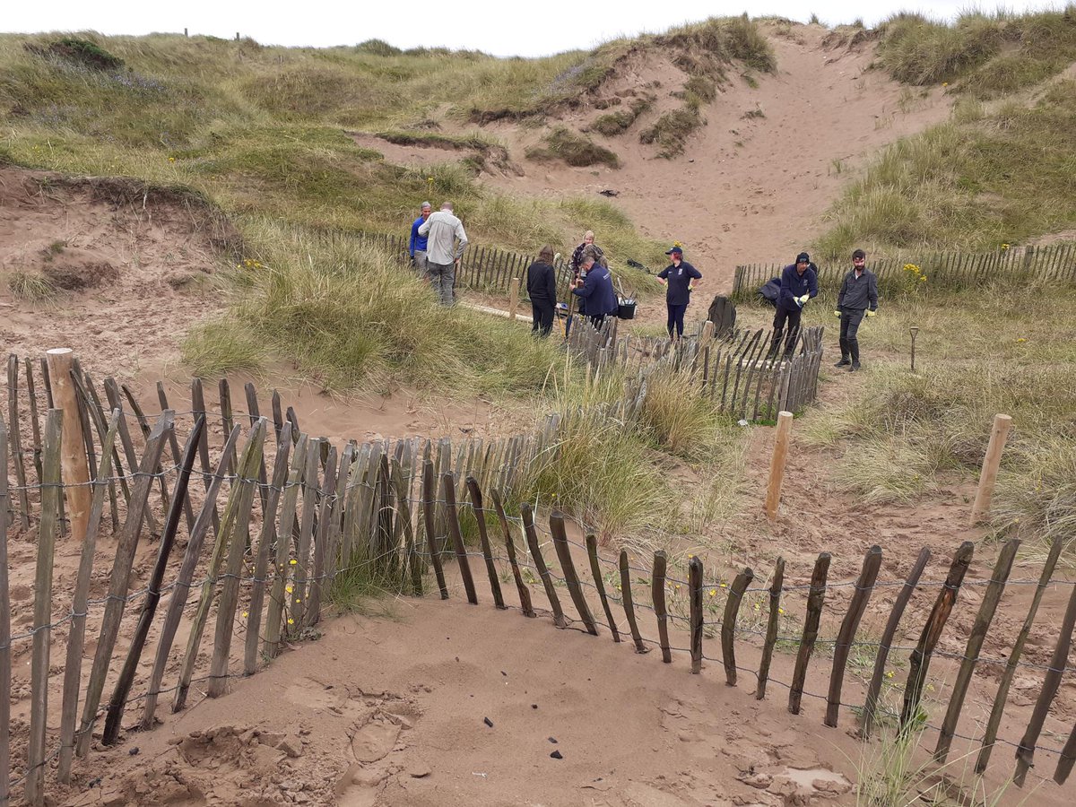 GarnockLP's tweet photo. It was fun to get out on the dunes on Saturday with a great bunch of volunteers and our friends at @ScotWildlife Ayrshire and #FriendsOfStevenston for some fence repairs and a walk/talk to learn more about the importance of this habitat. #sanddunes #stevenstonbeach #volunteers https://t.co/K8umb2LCL4
