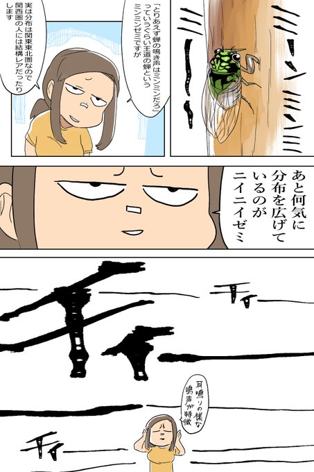 #塁島ちゃんの夏の日記
8/4 