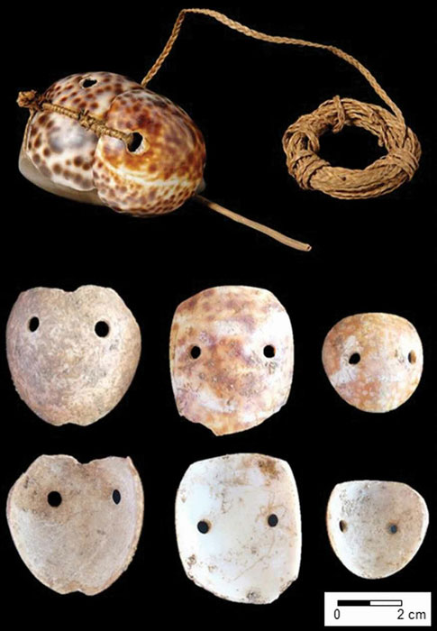 According to new research, Chamorro people living throughout the Mariana Islands some 3,500 years ago made lures for hunting octopuses out of cowrie shells. archaeology.org./news/10712-220802-mariana-islands-octopus