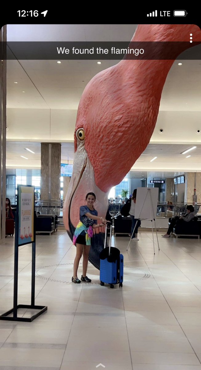BantaAPUSH666's tweet photo. @FlyTPA  Mission accomplished! https://t.co/g2aHZS50qC