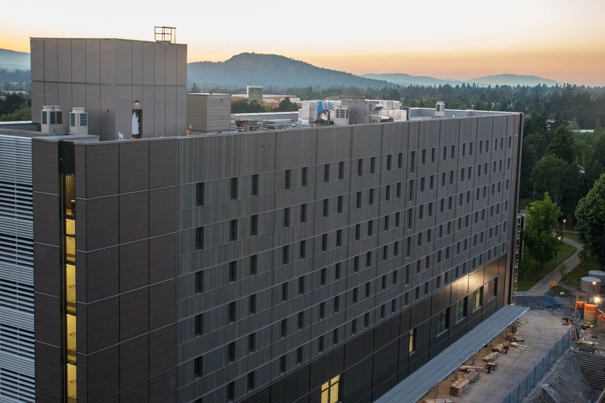 Marine Sanchez tweet media