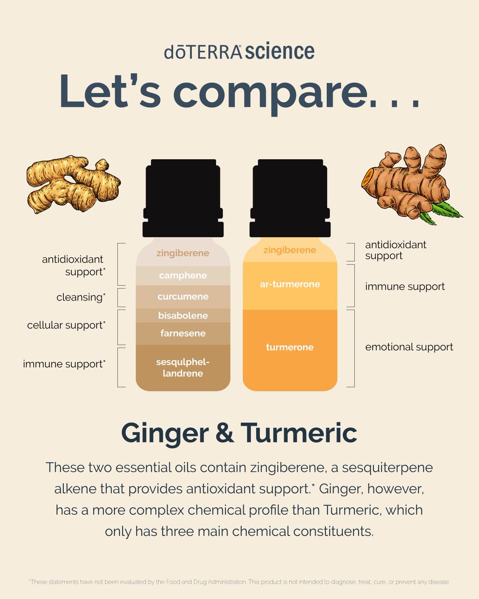 doterra's tweet photo. These two essential oils contain zingiberene, which provides antioxidant support. Turmeric has 0.1–15% zingiberene, while Ginger has 20–40%. Ginger is also more chemically complex than Turmeric, giving it a more intricate aroma profile. https://t.co/8YT3G2SQlQ