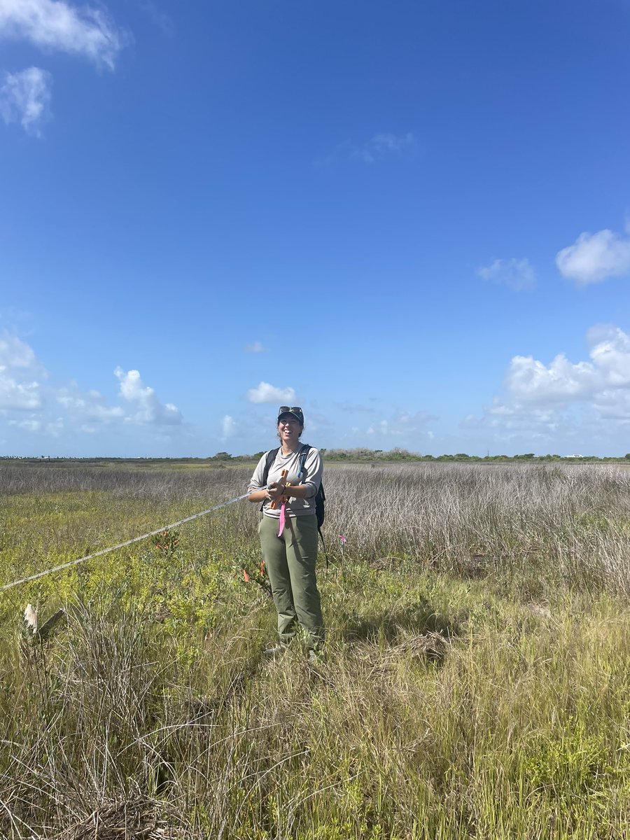 Even through the Texas heat, I’ve really enjoyed spending so many days in the field in Galveston Bay! Thanks @MarshDispatch for teaching me so much and <a href="/MarissaJPalmer1/">MarissaJPalmer</a> for the great photo! 

All smiles when rolling up the transect for the day #WhereIsTheMangroveEmoji