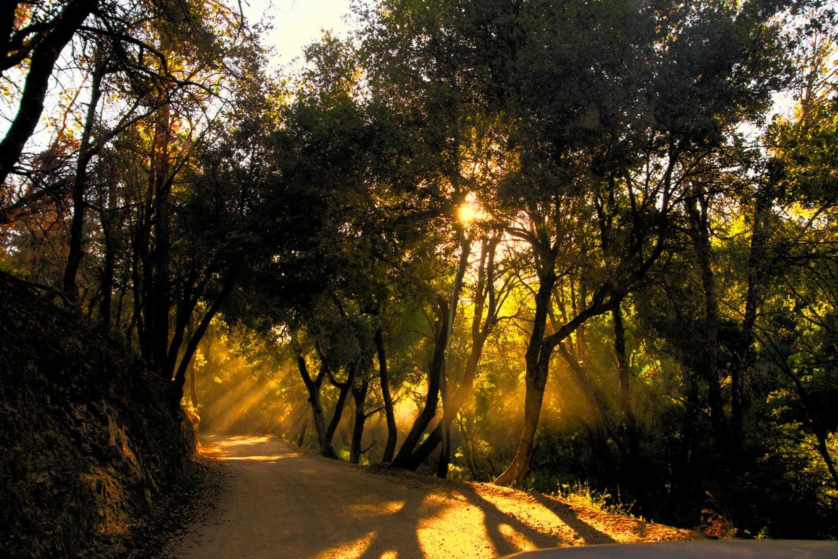 robdeez.eth tweet media