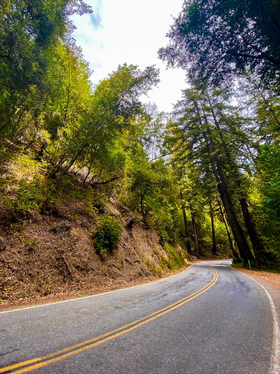 robdeez.eth tweet media