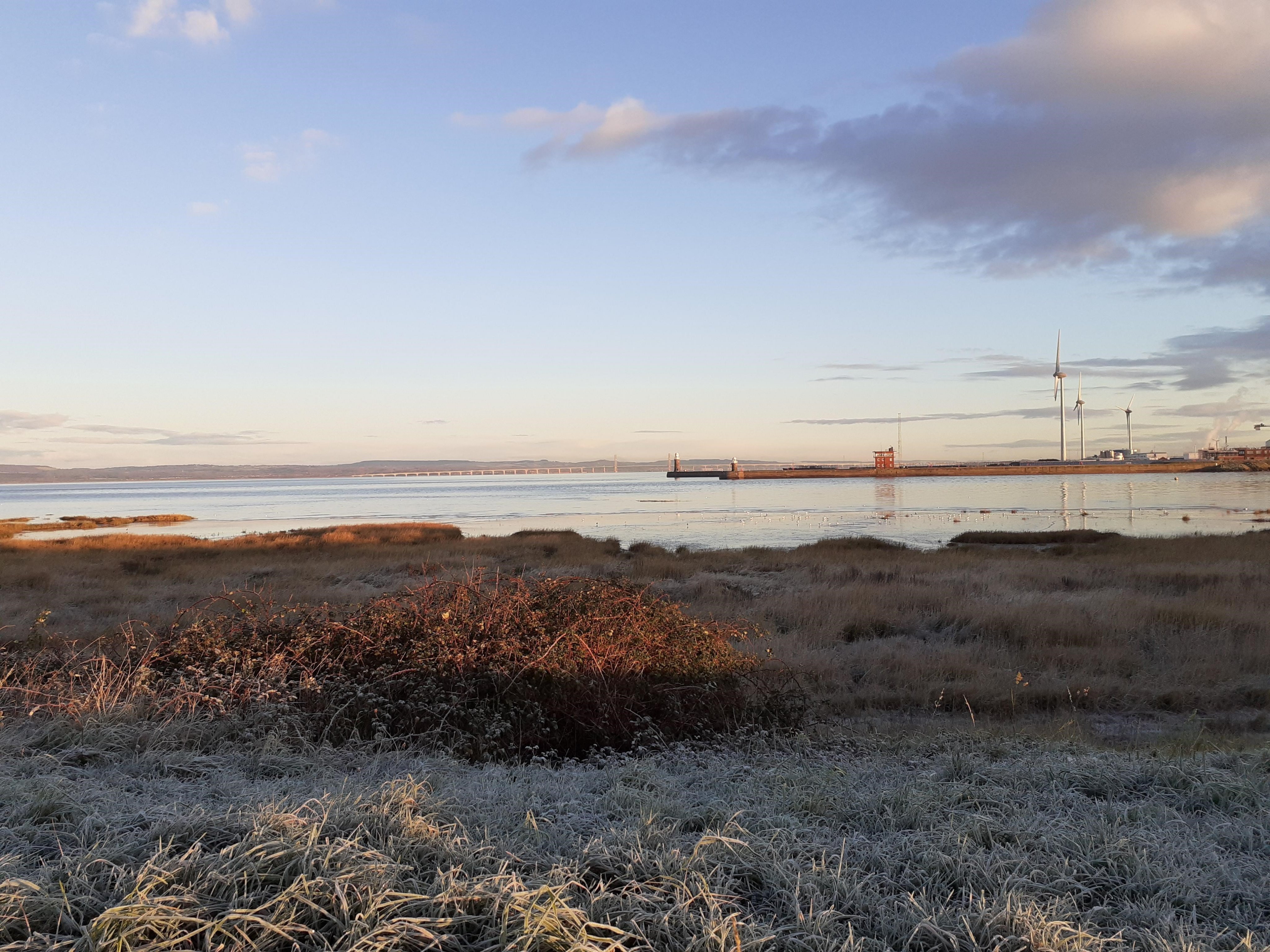 Igloo (Iglooautomotive) / Twitter