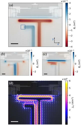 Andreas Wallraff tweet media