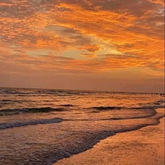 aestheticspost_'s tweet photo. sunsets at the beach. https://t.co/noeaTWedzv