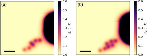 Andreas Wallraff tweet media