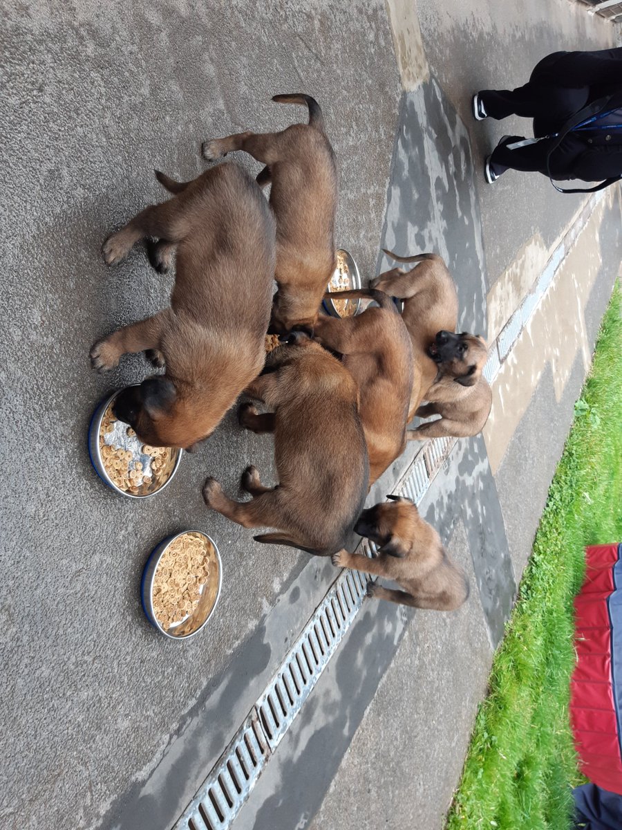 ACO Nancie Shackleton tweet media