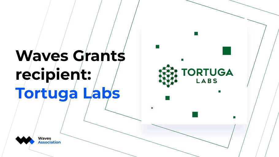 Congrats to Tortuga Labs! They have received Waves Association Grant and now welcome users in the new project <a href="/NightLifeCrypto/">Night Life Crypto</a>. It's a self-sustaining, all on-chain gaming platform with zero game transaction fees, plus liquidity staking for users. Happy gaming!🎮