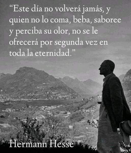 Dr_Blazquez's tweet photo. Frase Hermann Hesse vía @PaoOrtizMachain https://t.co/8Tr0T5UOdv